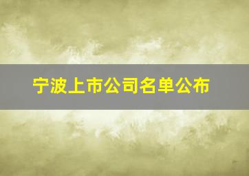 宁波上市公司名单公布