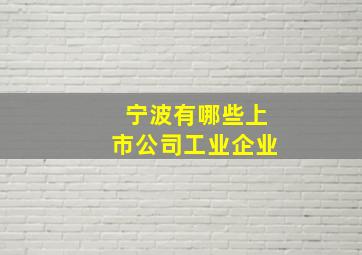 宁波有哪些上市公司工业企业