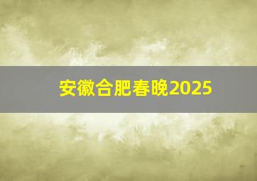 安徽合肥春晚2025