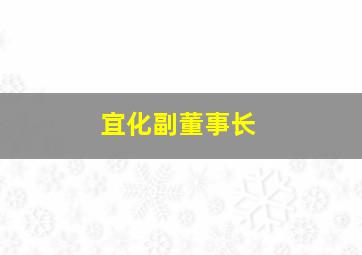 宜化副董事长