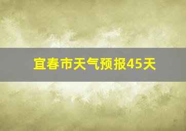 宜春市天气预报45天