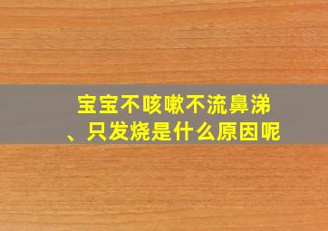 宝宝不咳嗽不流鼻涕、只发烧是什么原因呢