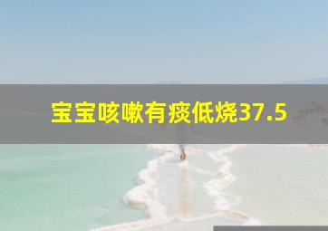 宝宝咳嗽有痰低烧37.5