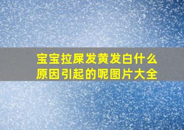 宝宝拉屎发黄发白什么原因引起的呢图片大全