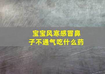 宝宝风寒感冒鼻子不通气吃什么药