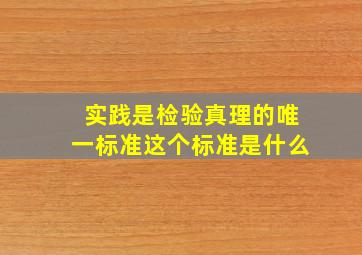 实践是检验真理的唯一标准这个标准是什么