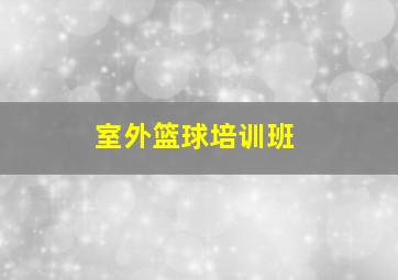 室外篮球培训班