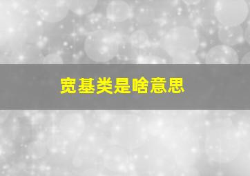 宽基类是啥意思