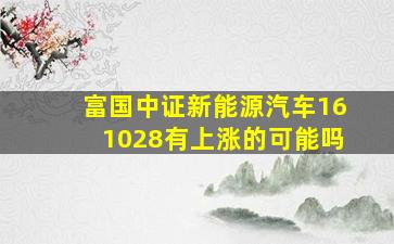 富国中证新能源汽车161028有上涨的可能吗