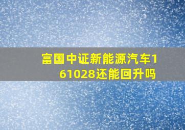 富国中证新能源汽车161028还能回升吗