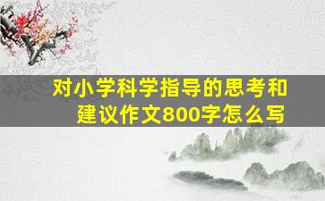 对小学科学指导的思考和建议作文800字怎么写