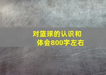 对篮球的认识和体会800字左右