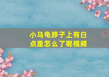 小乌龟脖子上有白点是怎么了呢视频