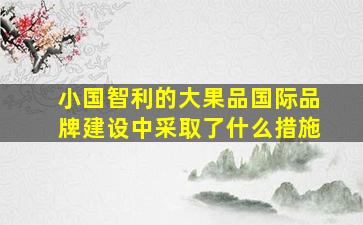 小国智利的大果品国际品牌建设中采取了什么措施