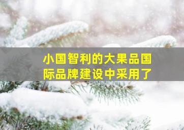 小国智利的大果品国际品牌建设中采用了