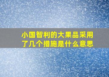 小国智利的大果品采用了几个措施是什么意思