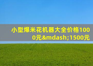 小型爆米花机器大全价格1000元—1500元