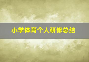 小学体育个人研修总结