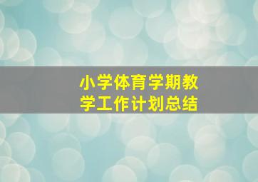 小学体育学期教学工作计划总结