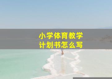 小学体育教学计划书怎么写