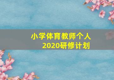 小学体育教师个人2020研修计划