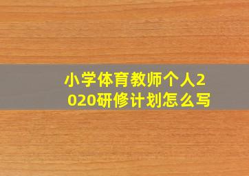 小学体育教师个人2020研修计划怎么写