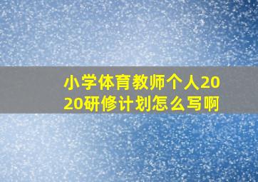 小学体育教师个人2020研修计划怎么写啊