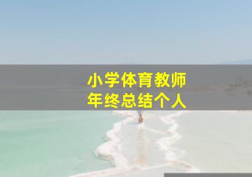 小学体育教师年终总结个人