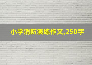 小学消防演练作文,250字