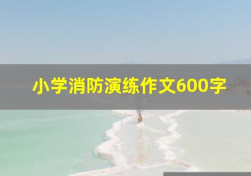 小学消防演练作文600字