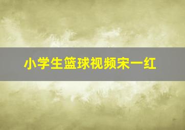 小学生篮球视频宋一红