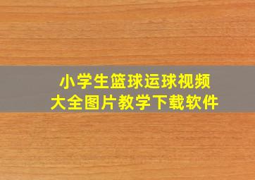 小学生篮球运球视频大全图片教学下载软件