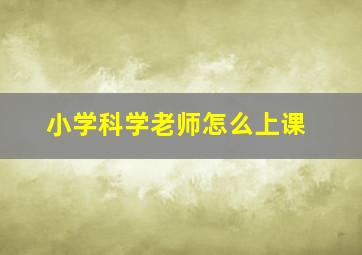 小学科学老师怎么上课