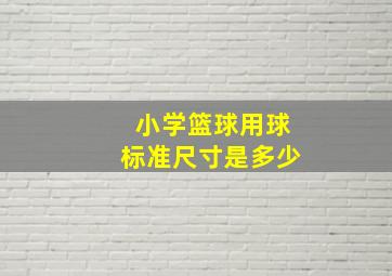 小学篮球用球标准尺寸是多少