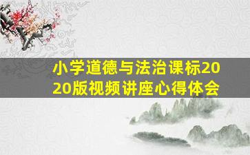 小学道德与法治课标2020版视频讲座心得体会