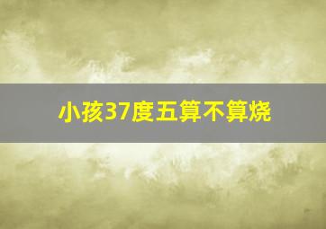 小孩37度五算不算烧