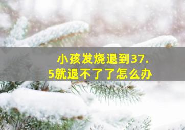 小孩发烧退到37.5就退不了了怎么办