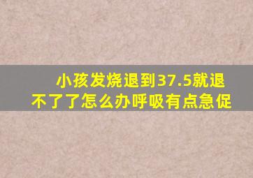 小孩发烧退到37.5就退不了了怎么办呼吸有点急促