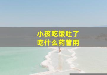 小孩吃饭吐了吃什么药管用