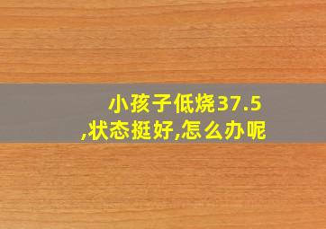 小孩子低烧37.5,状态挺好,怎么办呢