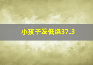 小孩子发低烧37.3