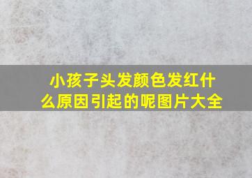 小孩子头发颜色发红什么原因引起的呢图片大全