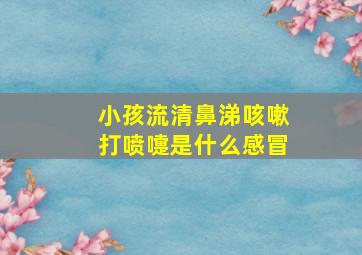 小孩流清鼻涕咳嗽打喷嚏是什么感冒