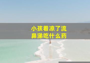 小孩着凉了流鼻涕吃什么药