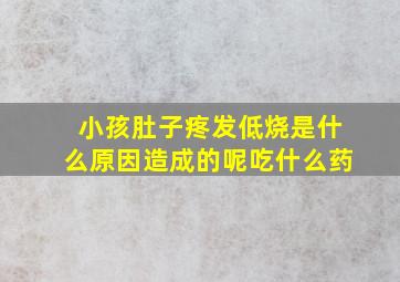 小孩肚子疼发低烧是什么原因造成的呢吃什么药