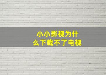 小小影视为什么下载不了电视