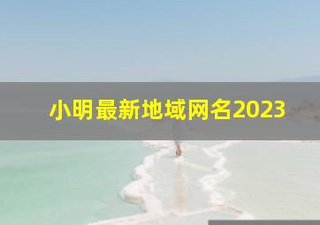 小明最新地域网名2023