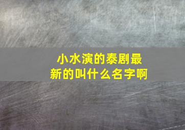 小水演的泰剧最新的叫什么名字啊