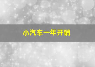 小汽车一年开销