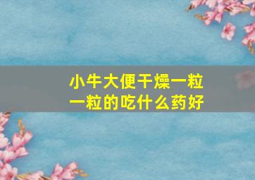 小牛大便干燥一粒一粒的吃什么药好